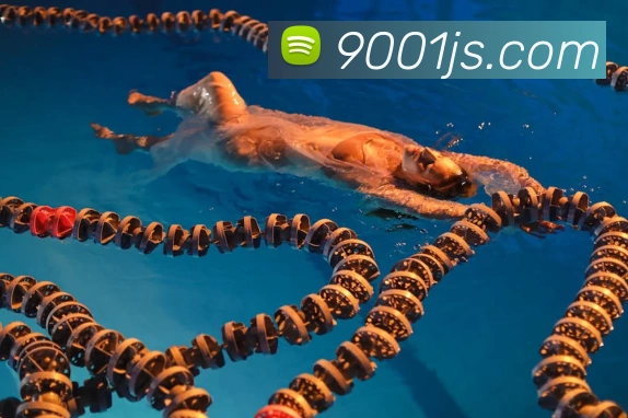 数据防护可视化